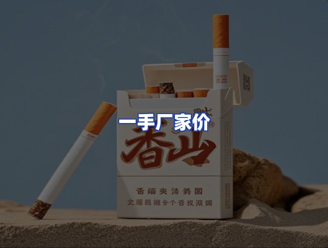 专业团队